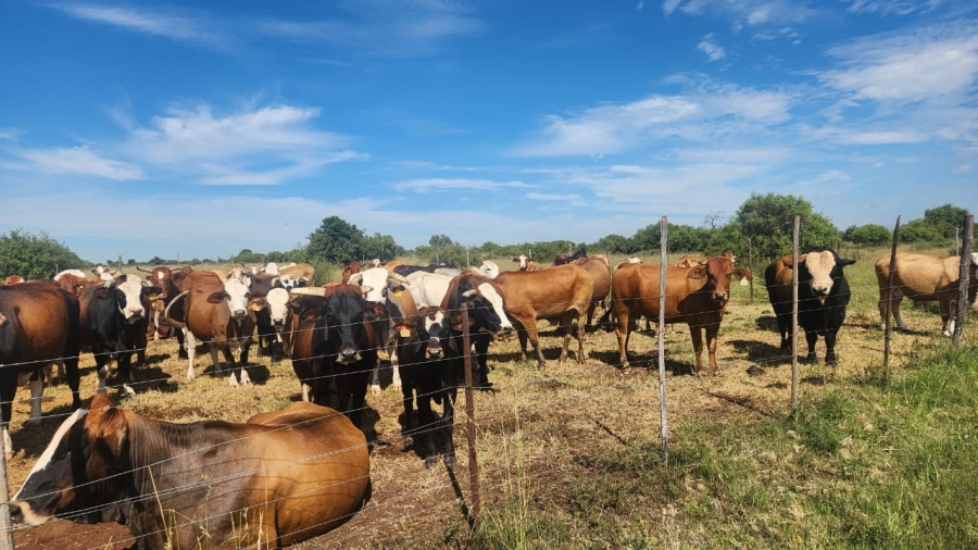 Commercial Property for Sale in Lichtenburg Rural North West